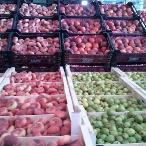 Mayorista frutas y verduras Sabadell